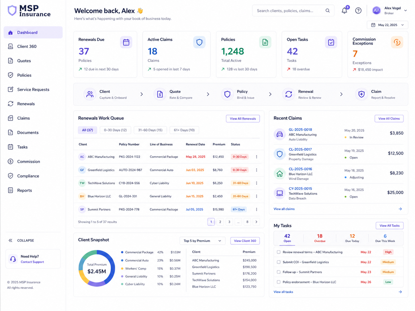 MSP Insurance dashboard preview